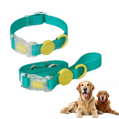 FurryFusion Ensemble collier et laisse breakaway pour chien