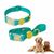 FurryFusion Ensemble collier et laisse breakaway pour chien