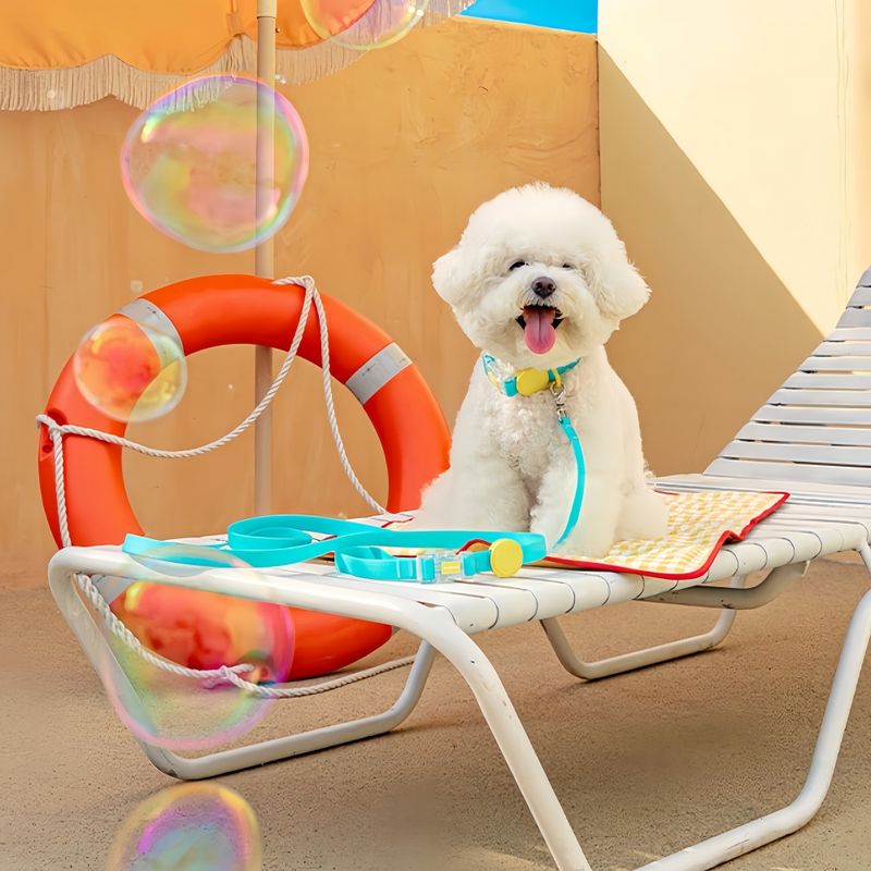 FurryFusion Ensemble collier et laisse breakaway pour chien