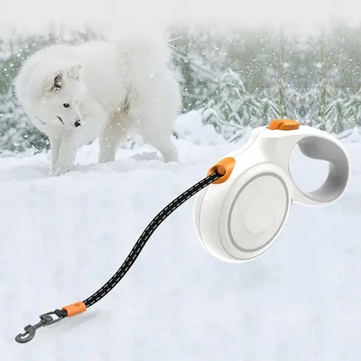 Petopia  Corde de traction rétractable automatique