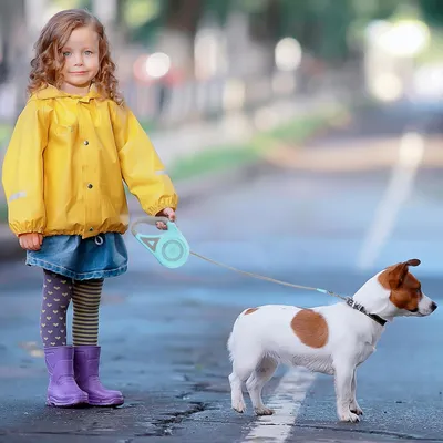 Petopia Corde de traction extensible pour chien avec éclairage LED