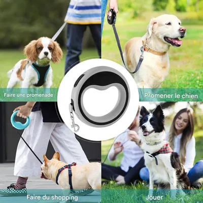 Petopia Corde de traction extensible pour chien, résistante à l'usure