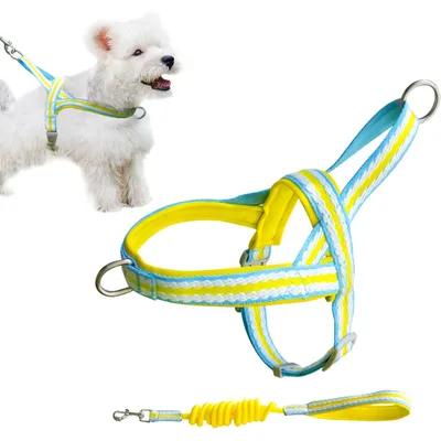 UAMLY Harnais pour Chien avec Laisse(Jaune) UAMLY Harnais pour Chien avec Laisse(Jaune)