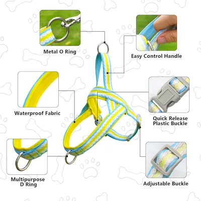 UAMLY Harnais pour Chien avec Laisse(Jaune)