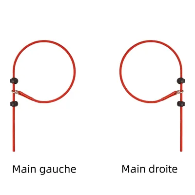 IntiMeg Laisse de dressage pour chien