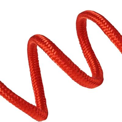 IntiMeg Laisse de dressage pour chien