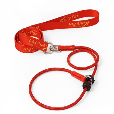 IntiMeg Laisse de dressage pour chien