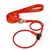 IntiMeg Laisse de dressage pour chien IntiMeg Laisse de dressage pour chien
