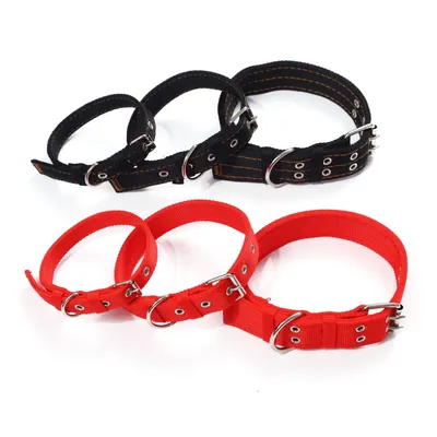 Petopia  Laisse anti-traction pour chien de 2 mètres