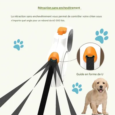 Petopia  Corde de traction rétractable automatique