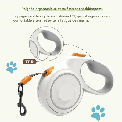 Petopia  Corde de traction rétractable automatique