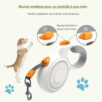 Petopia  Corde de traction rétractable automatique