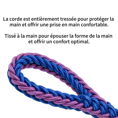 FurryFusion Laisse pour chien en nylon tressé