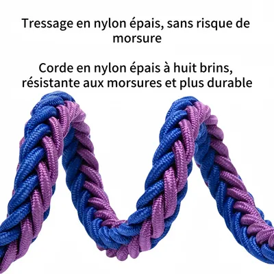 FurryFusion Laisse pour chien en nylon tressé