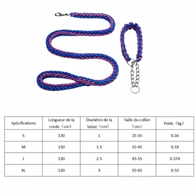 FurryFusion Laisse pour chien en nylon tressé