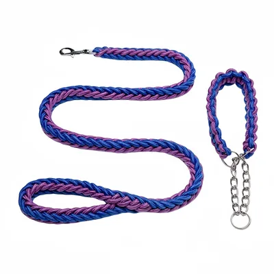 FurryFusion Laisse pour chien en nylon tressé