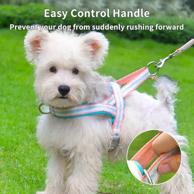 UAMLY Harnais pour Chien avec Laisse(Rose)