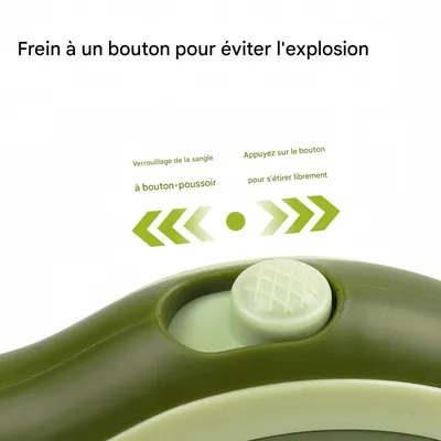 FurryFusion Laisse rétractable automatique pour chien