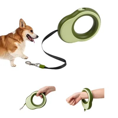 FurryFusion Laisse rétractable automatique pour chien