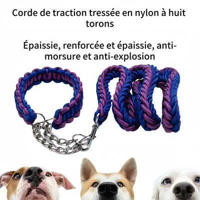 FurryFusion Laisse pour chien en nylon tressé