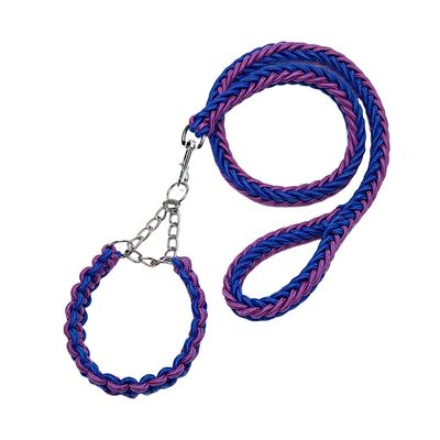 FurryFusion Laisse pour chien en nylon tressé