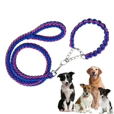 FurryFusion Laisse pour chien en nylon tressé FurryFusion Laisse pour chien en nylon tressé