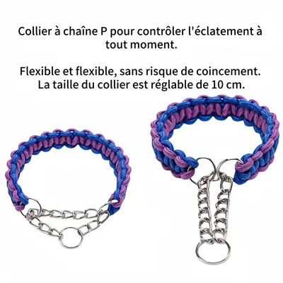 FurryFusion Laisse pour chien en nylon tressé