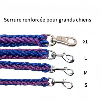 FurryFusion Laisse pour chien en nylon tressé