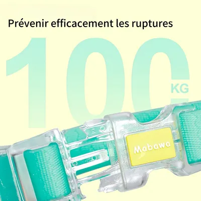 FurryFusion Ensemble collier et laisse breakaway pour chien