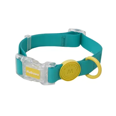 FurryFusion Ensemble collier et laisse breakaway pour chien