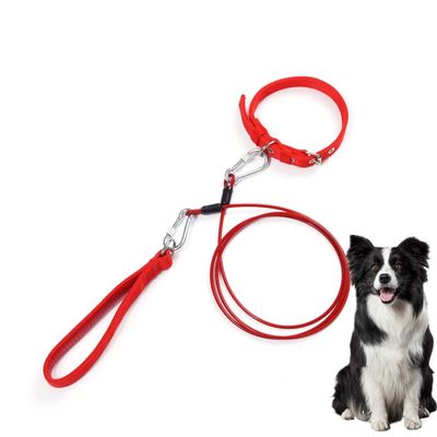 Petopia  Laisse anti-traction pour chien de 2 mètres S 2M