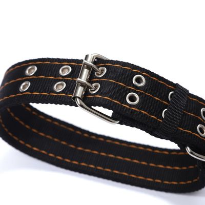 Petopia  Laisse anti-traction pour chien de 2 mètres