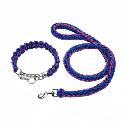 FurryFusion Laisse pour chien en nylon tressé