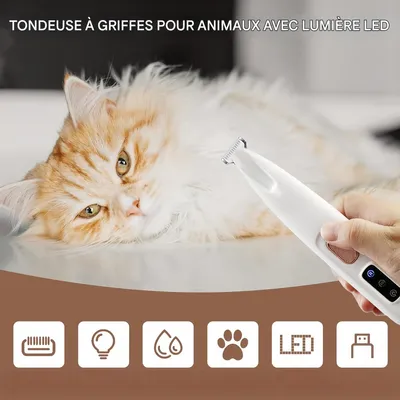 Pet Planet Chiens et Chats TondeuseSet Tondeuse Électrique