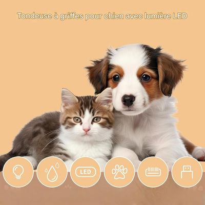 Pet Planet Chiens et Chats TondeuseSet Tondeuse Électrique