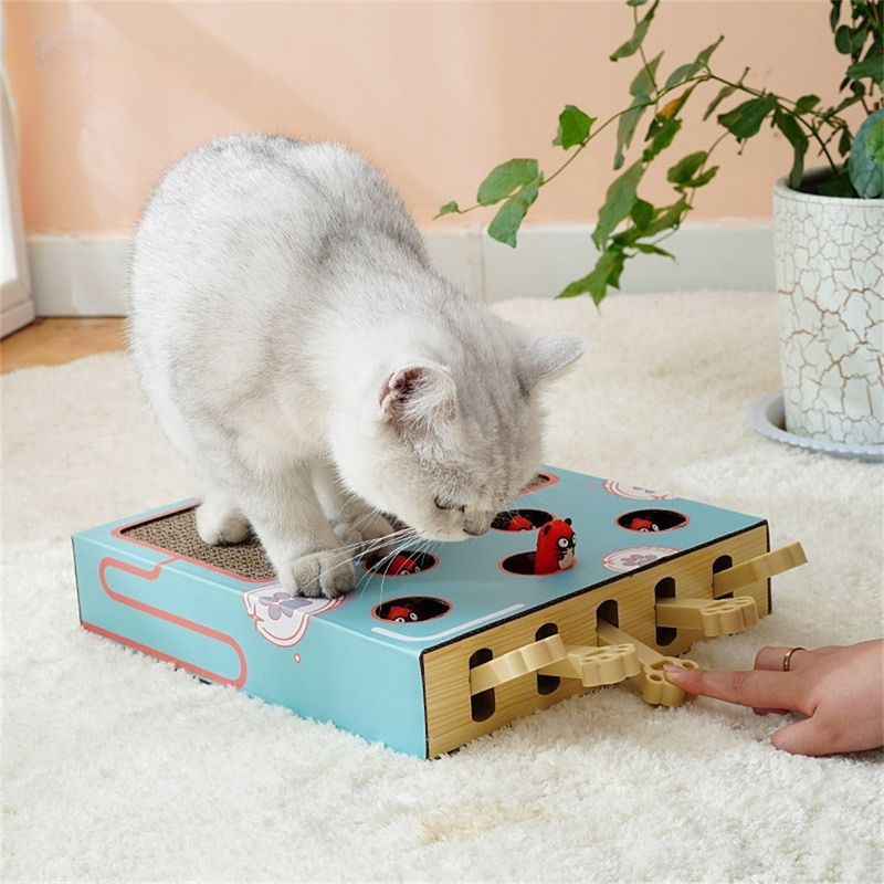 Pet Planet Griffoir pop - up en carton ondulé pour chat