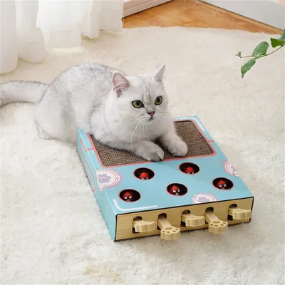 Pet Planet Griffoir pop - up en carton ondulé pour chat
