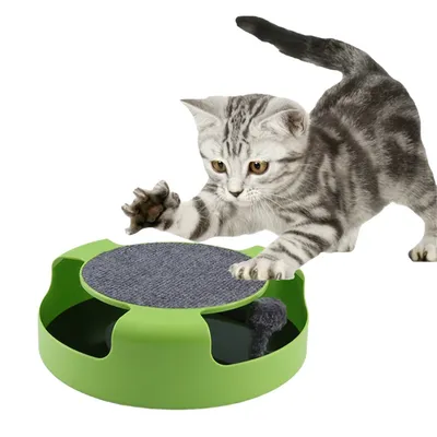 Pet Planet Disque rotatif de jeu pour chat