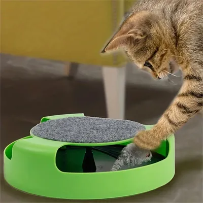 Pet Planet Disque rotatif de jeu pour chat