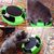 Pet Planet Disque rotatif de jeu pour chat