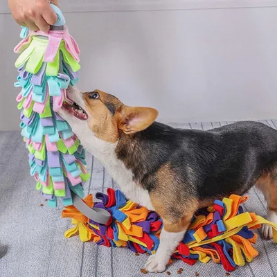 Petopia Jouets pour chiens