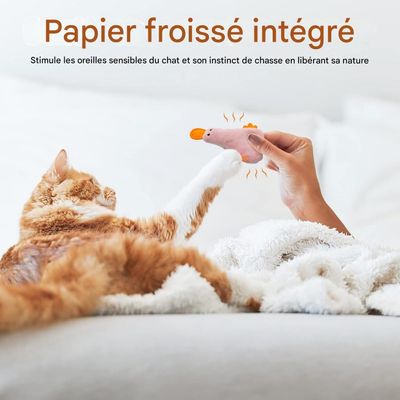 Pet Planet Chats 3 Pièces Jouet Menthe pour Chat