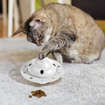 Petopia Mangeoire puzzle pour chat