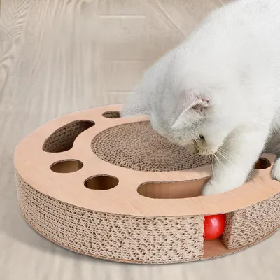 Jouet interactif pour chat avec 2 balles à cliquetis