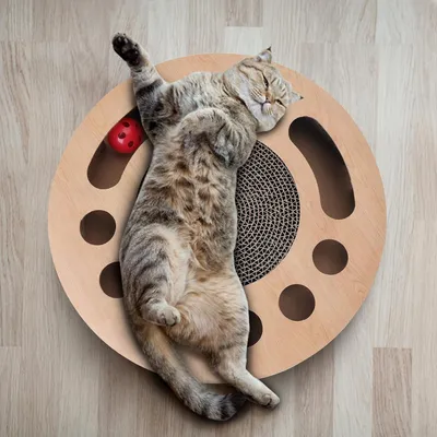 Jouet interactif pour chat avec 2 balles à cliquetis