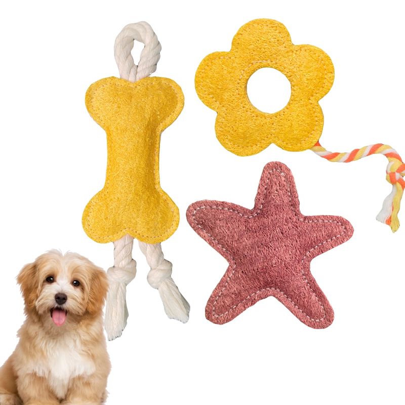 IntiMeg Trois jouets interactifs pour chats - Naturel