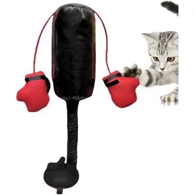 UAMLY Jouet interactif pour chat, jouet de frappe UAMLY Jouet interactif pour chat, jouet de frappe