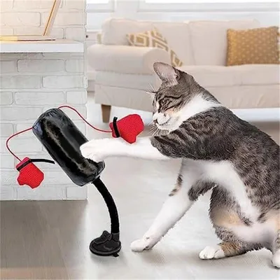 UAMLY Jouet interactif pour chat, jouet de frappe