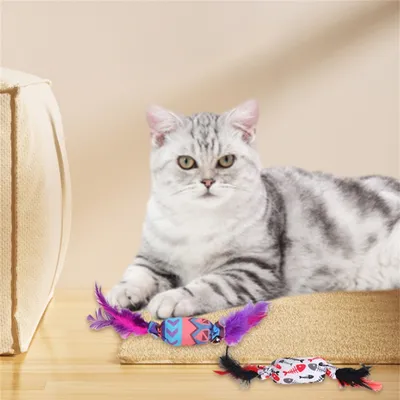IntiMeg Jouets pour Chat en Forme de Bonbon