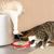IntiMeg Griffoir en sisal pour chat